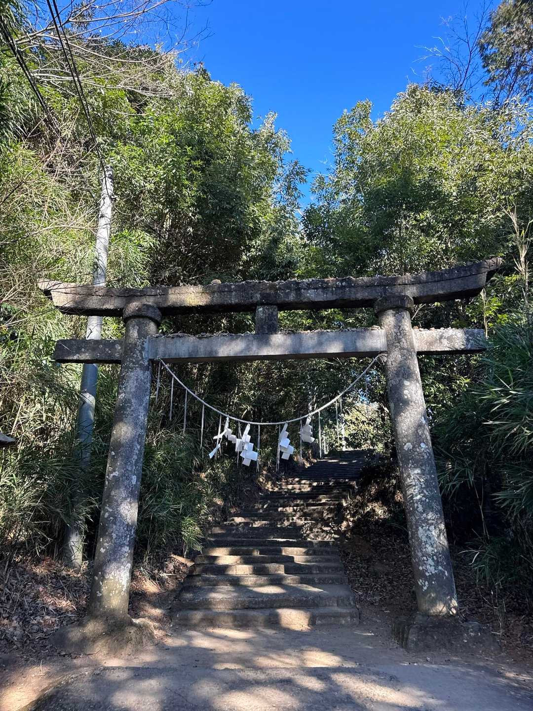 ぐみの木峠 往復コースの写真