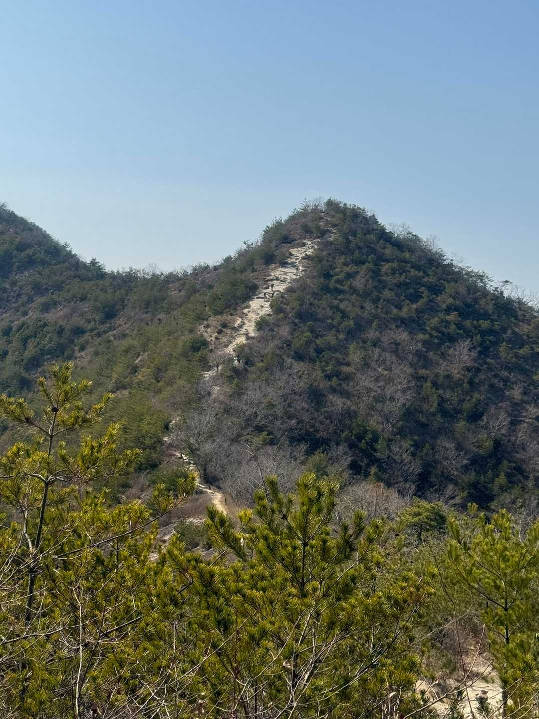 振り返る。
鷹ノ巣山から東へ進むのは初めて。