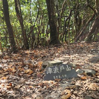 山頂は眺望無し