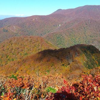 仙台カゴは360度の紅葉