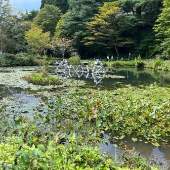 水の上にもアートオブジェ