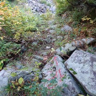 沢の左岸(川下に向かって左)に巻き道がある。
1度、沢から巻き道に上がると、この合流点がある。沢に並行する道との合流点。