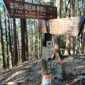 黒ドッケ。今日はここでおしまい