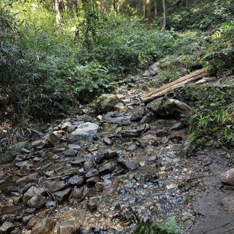 どこから沸いているのか、足元は水があります。