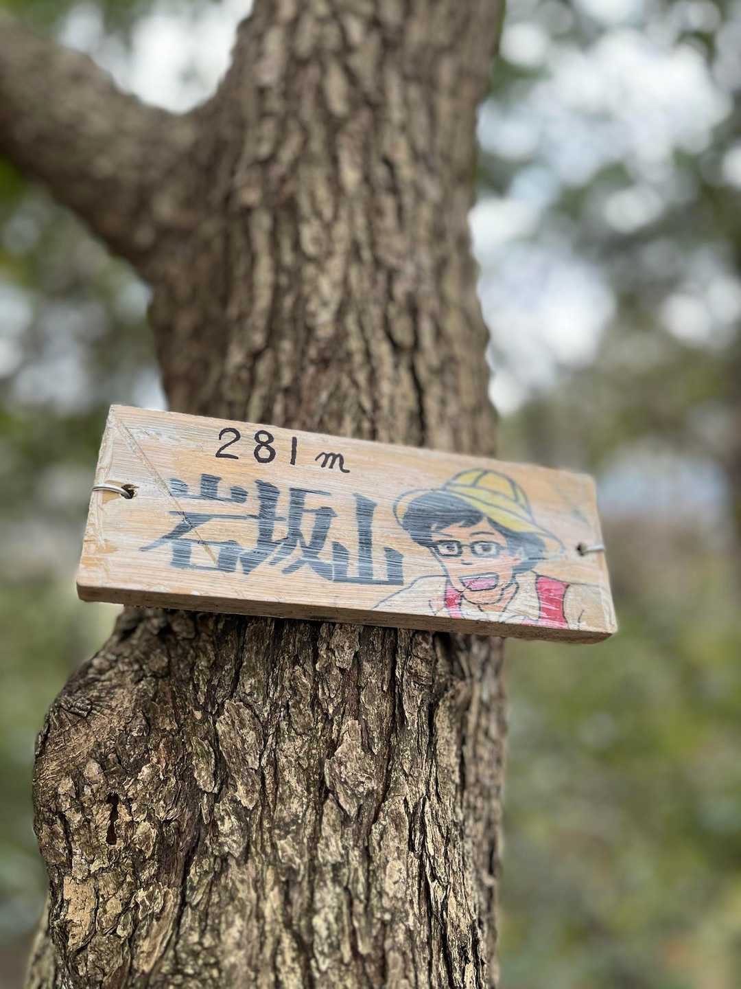 再び登山道へ

そして下山途中
最後の岩坂山でﾐｯｼｮﾝ終了🙌