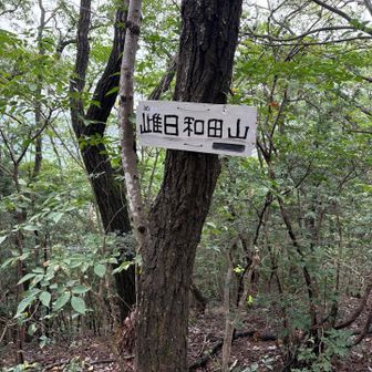 雌日和田山山頂
特に展望も何もありません