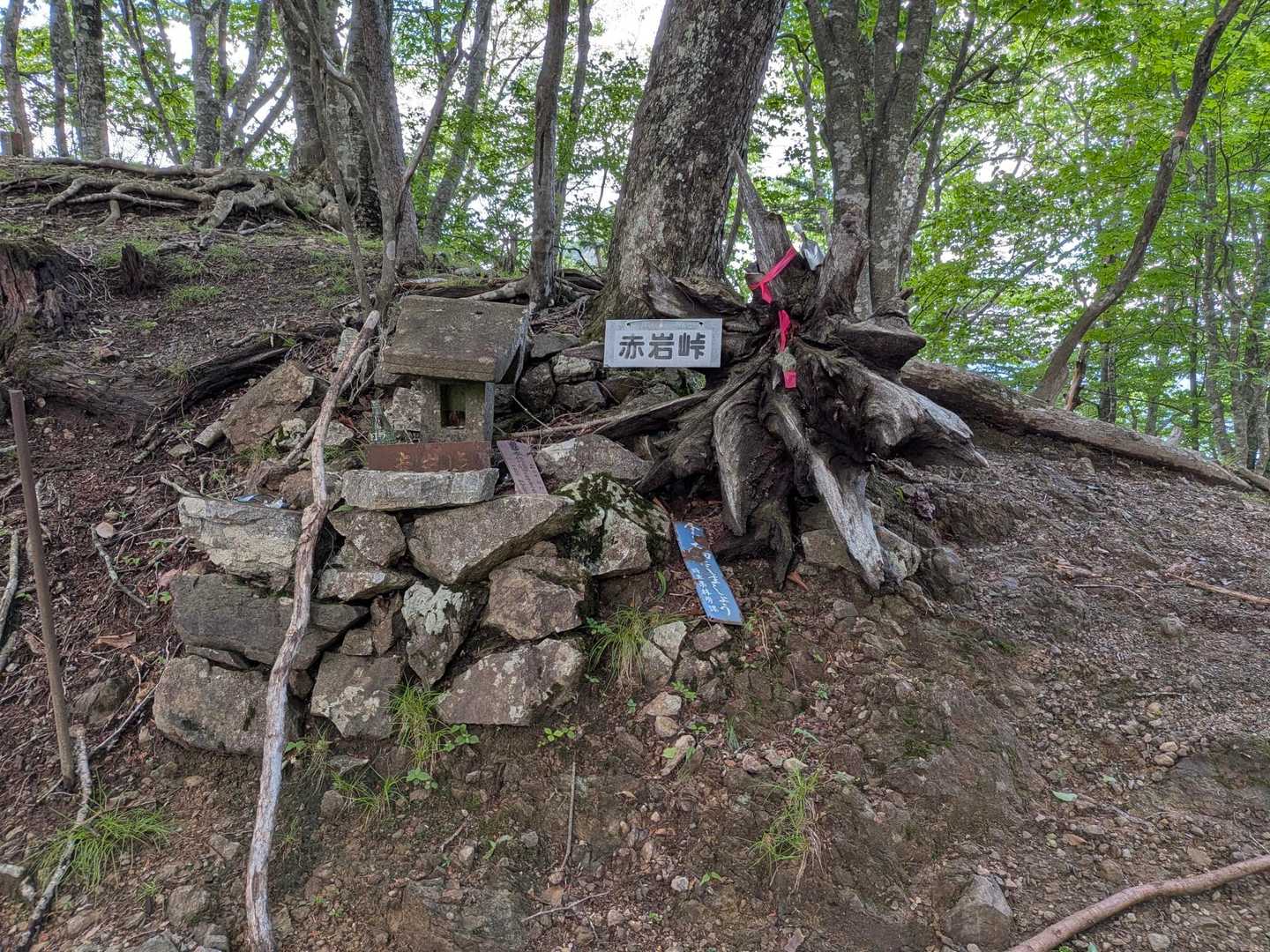 赤岩峠登山口-赤岩峠-大ナゲシ 往復コースの写真
