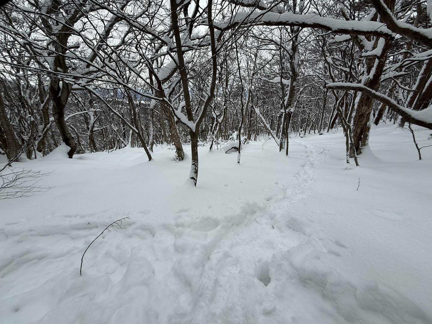 正規ルート右からきました
初めての左側に行ってみます