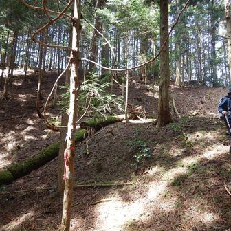 香芳峰から下りてきました