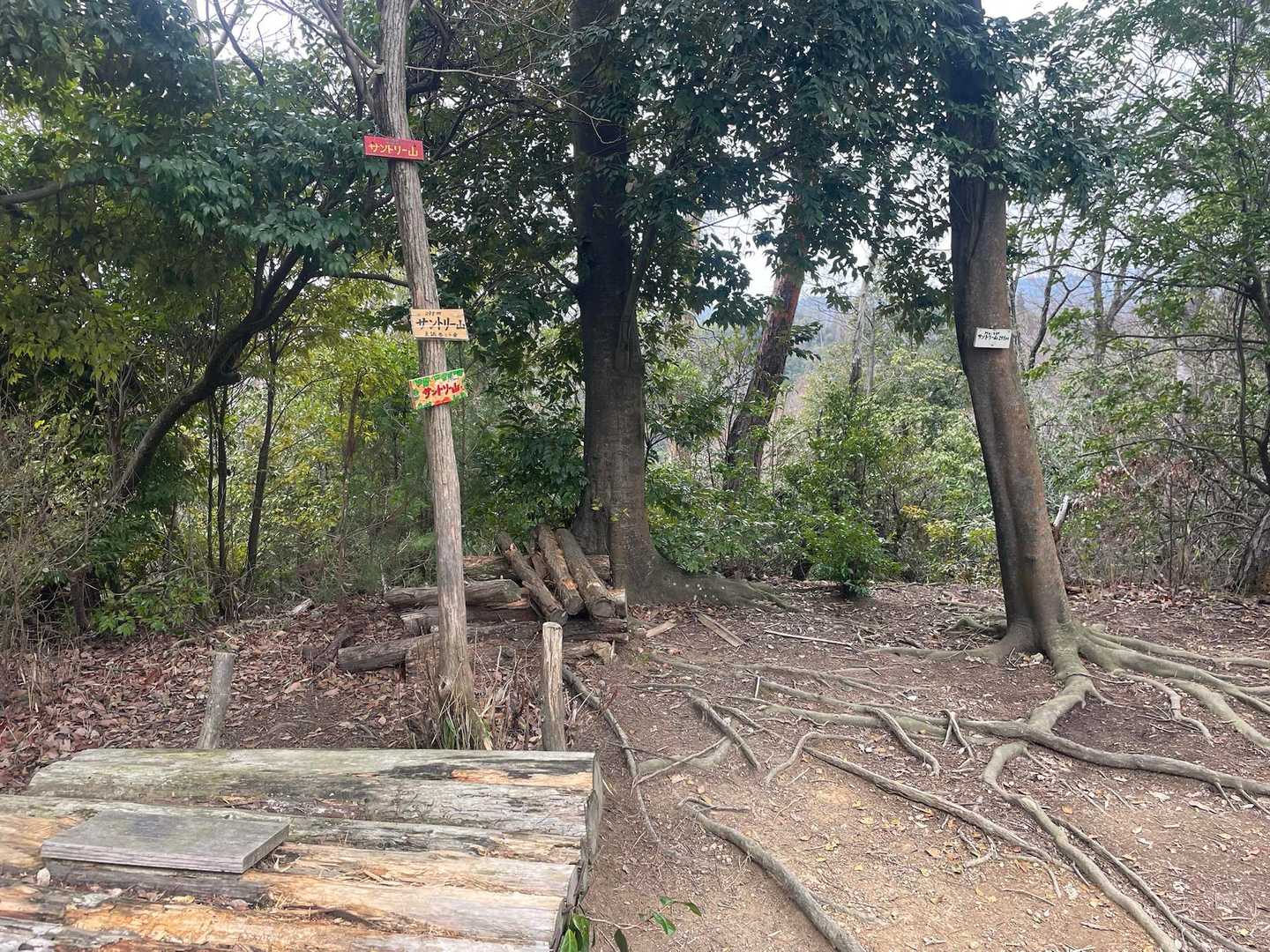 天王山の山頂から10分も掛からずで〝サントリー山〟に到着です。天王山は国土地理院の地図にも載っていますが、サントリー山はワタクシが調べた限りでは載っていませんでした。
やっぱり、このすぐ下にあるサントリー山崎蒸溜所が水源として大切に保全している山域だからつけられた愛称みたいなものなんでしょうか⁉️🤔