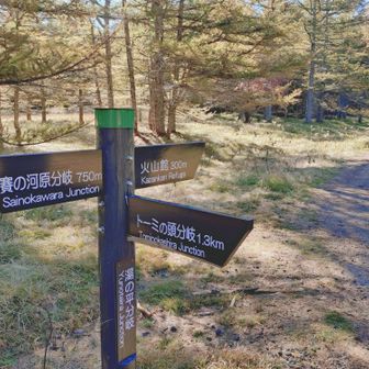 合流ポイント🤗浅間山荘側から続々人が登ってきて一気に賑やかに👍
