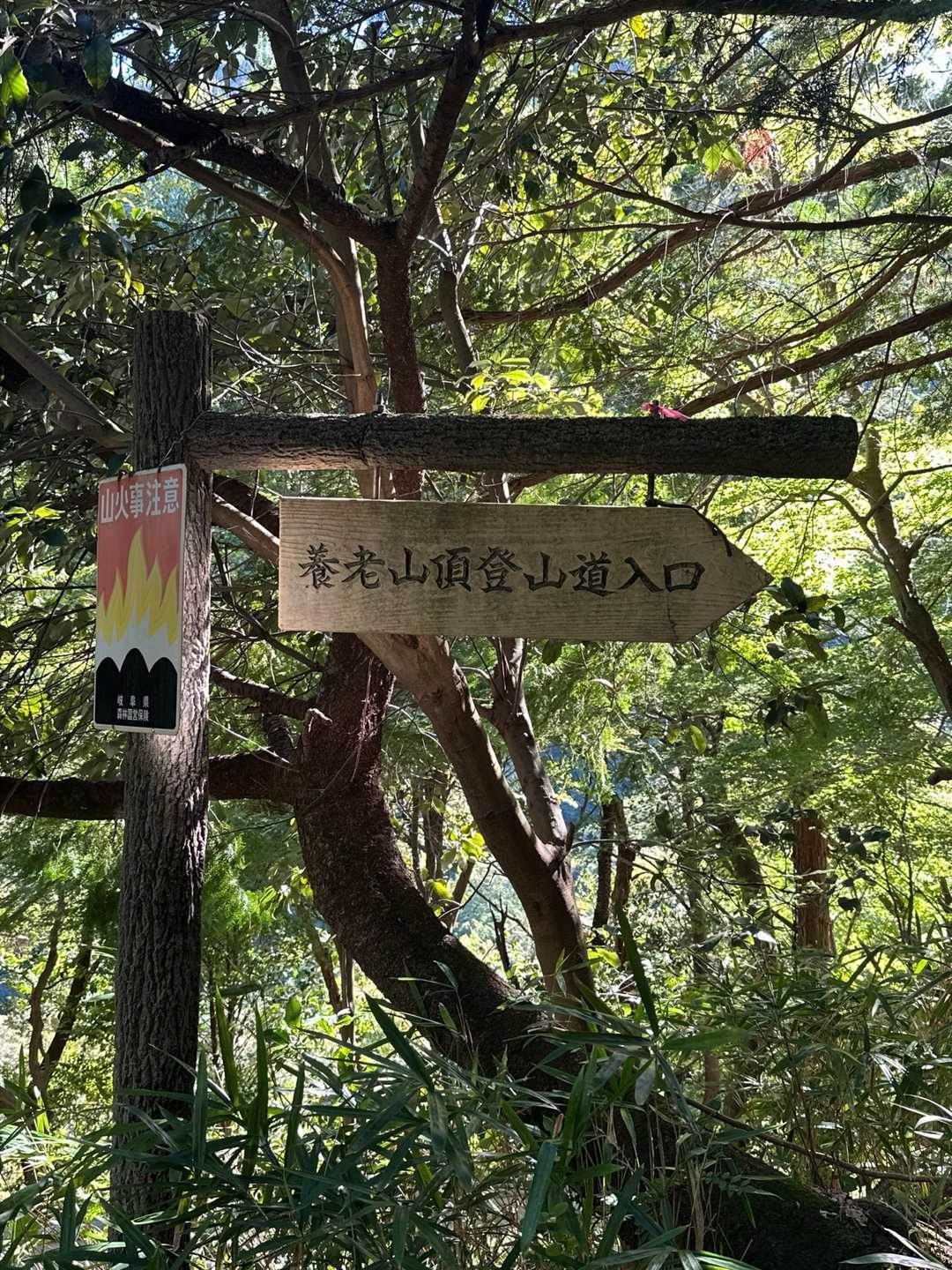 縦走できそうな山です☆