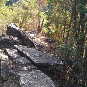 何か行けそうだけど…
不安なので岩場を下りる