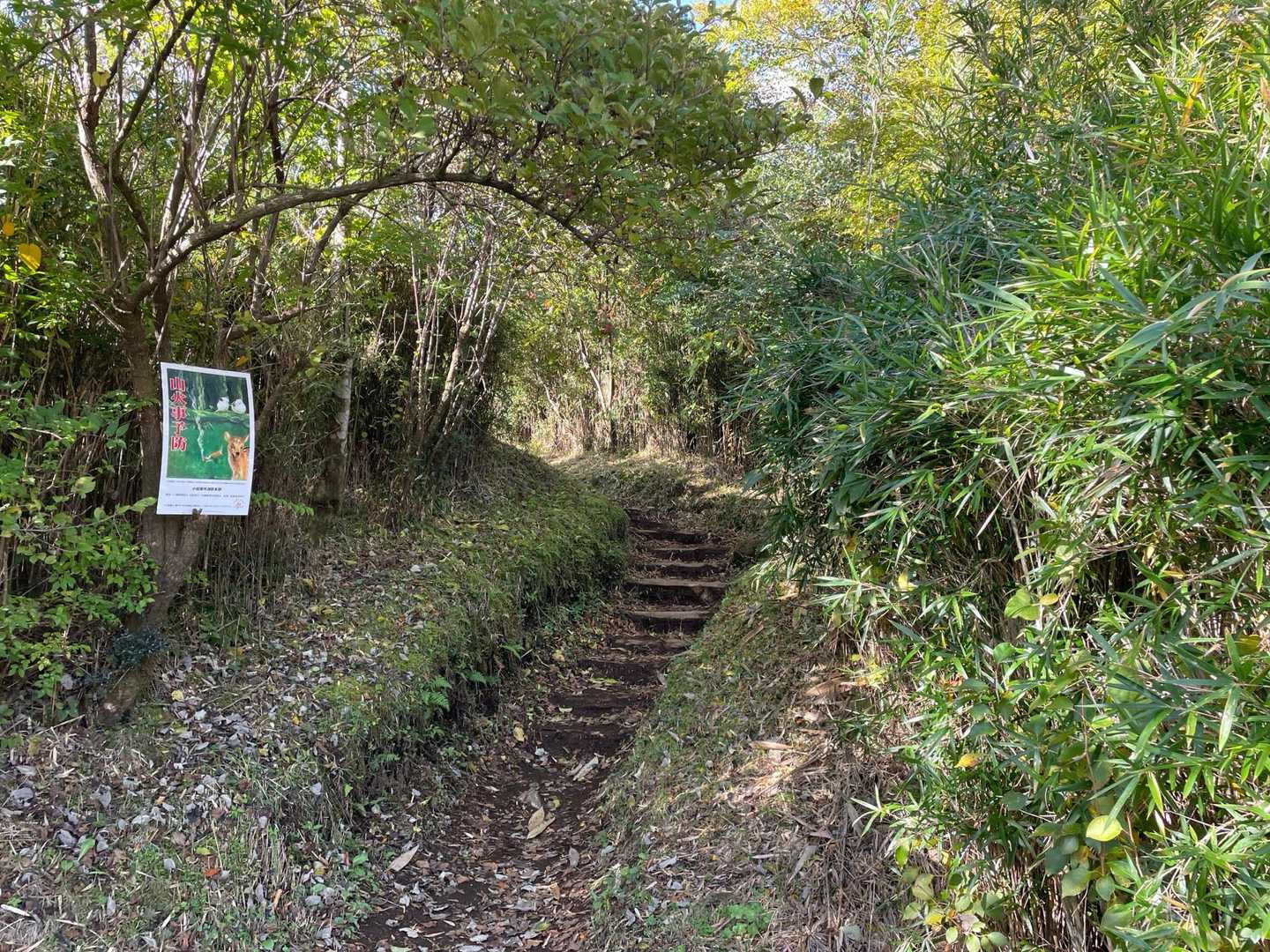 金時見晴駐車場-矢倉沢峠-金時山 往復コースの写真