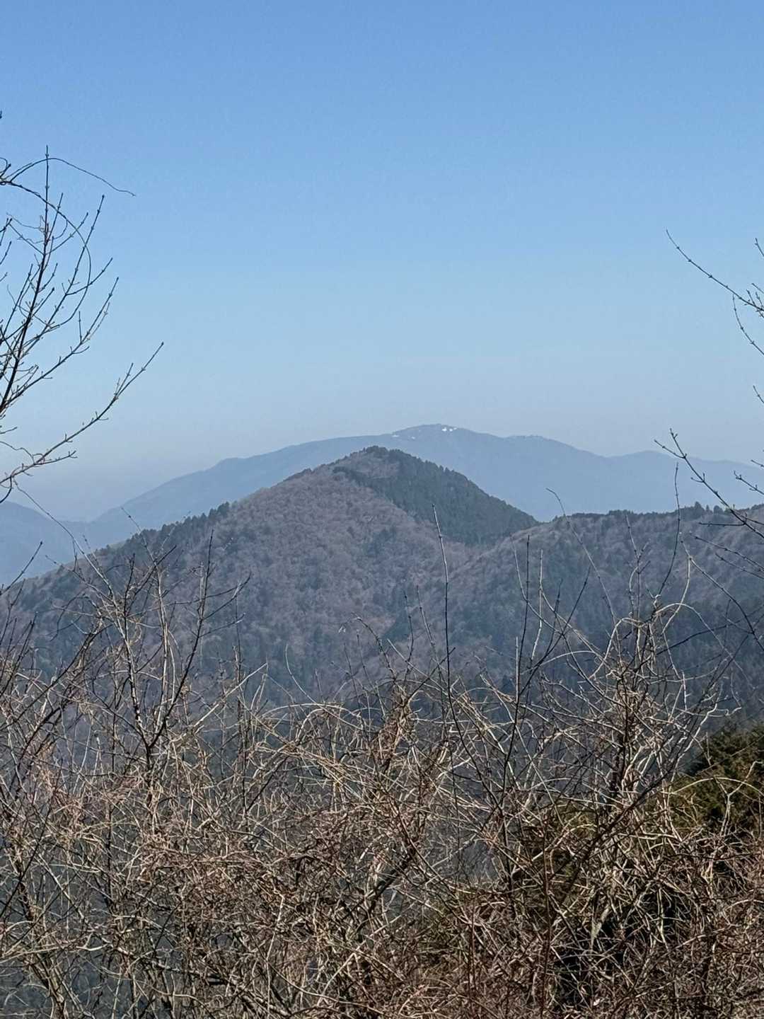 これから行く水井山
の向こうには蓬莱山かな？