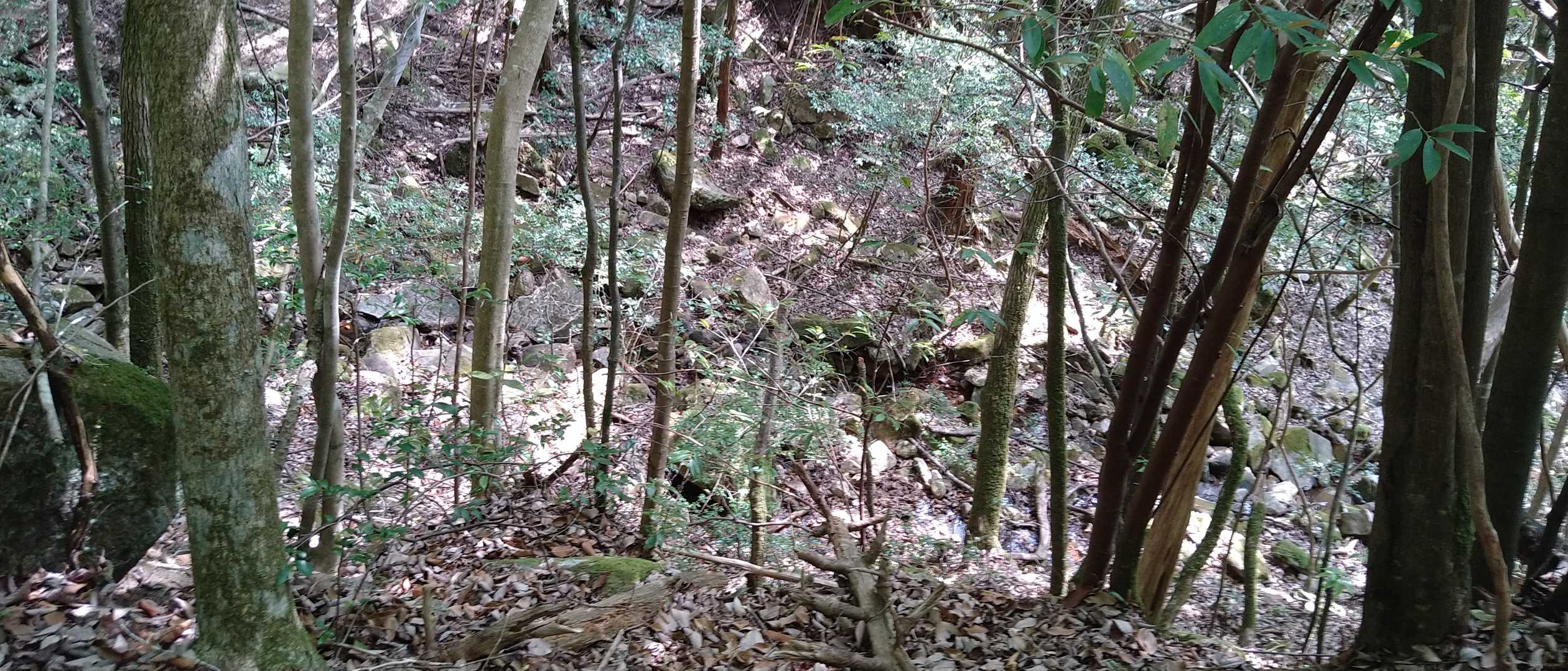谷川と合流