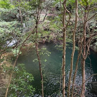 そして先ほど、分岐で地図を確認しようとしてログが取れていないことに気づきました
しょんぼりしてます😞