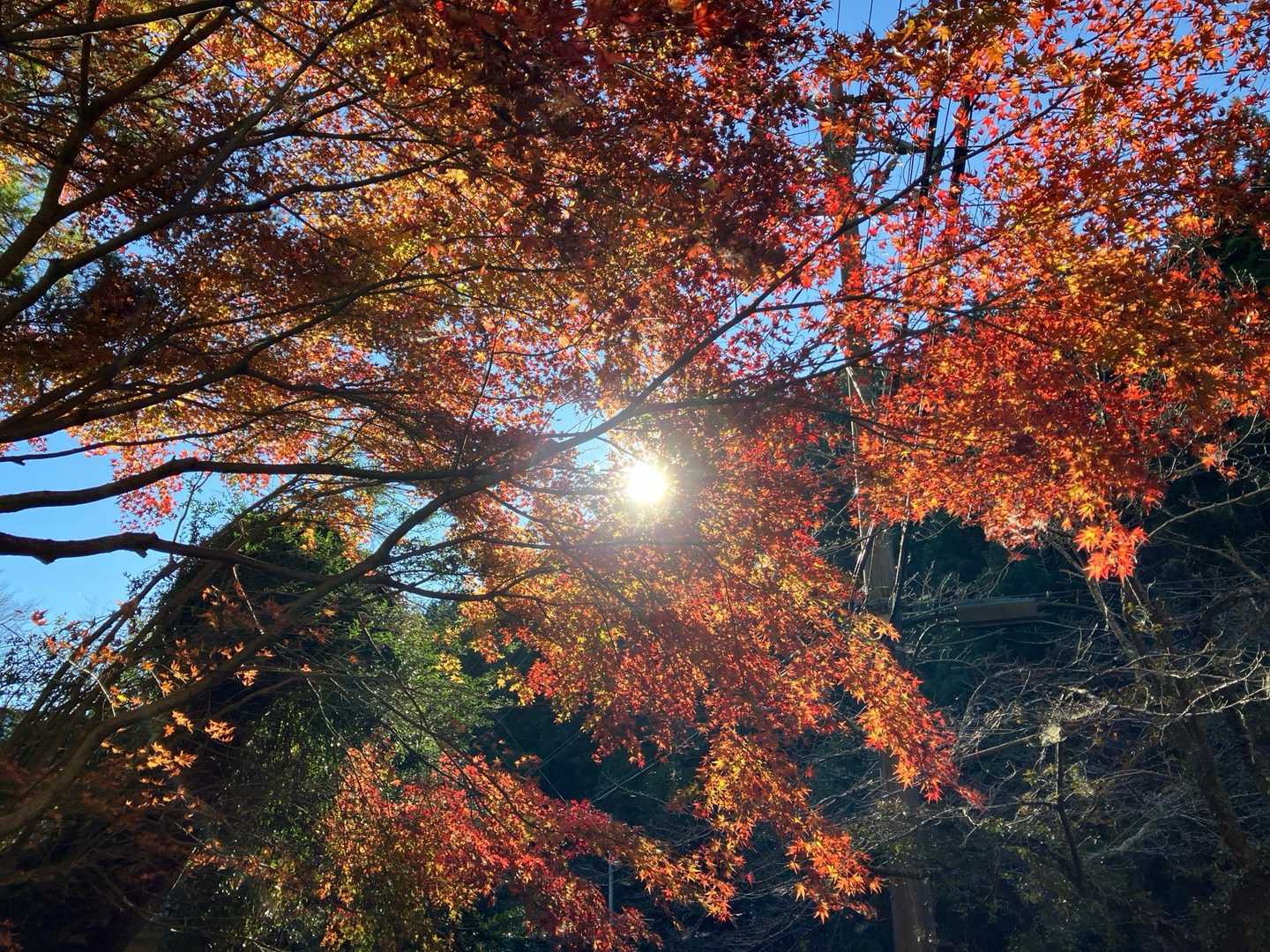 秩父華巌前バス停-大前山-札立峠-破風山-前原山-皆野駅 縦走コースの写真