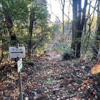 上りとは違う道で下山↑