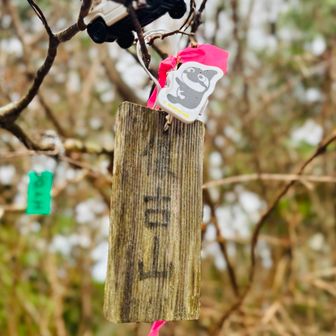 白ジムニ〜トミカとグランパスくん🚗🐬💨