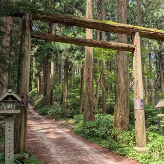 鳥居。結界を超えるので、なぜか緊張
