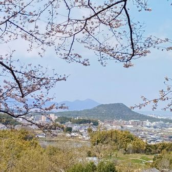 甘樫丘展望台よりの畝傍山、霞んでいます