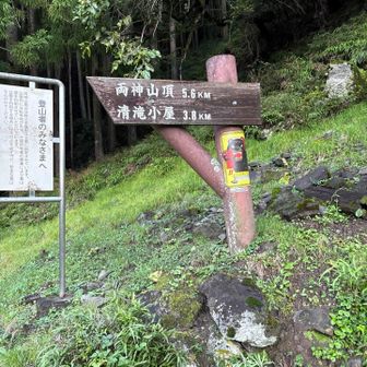 片道5.6km