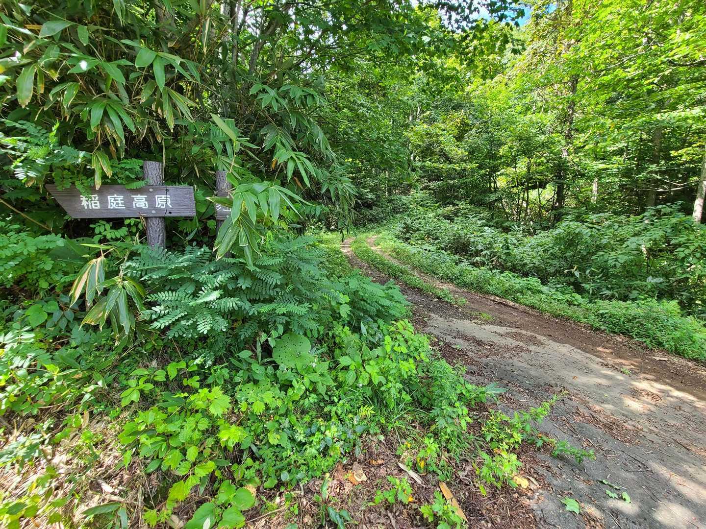 登山道～舗装道に
これ～が長い😮‍💨