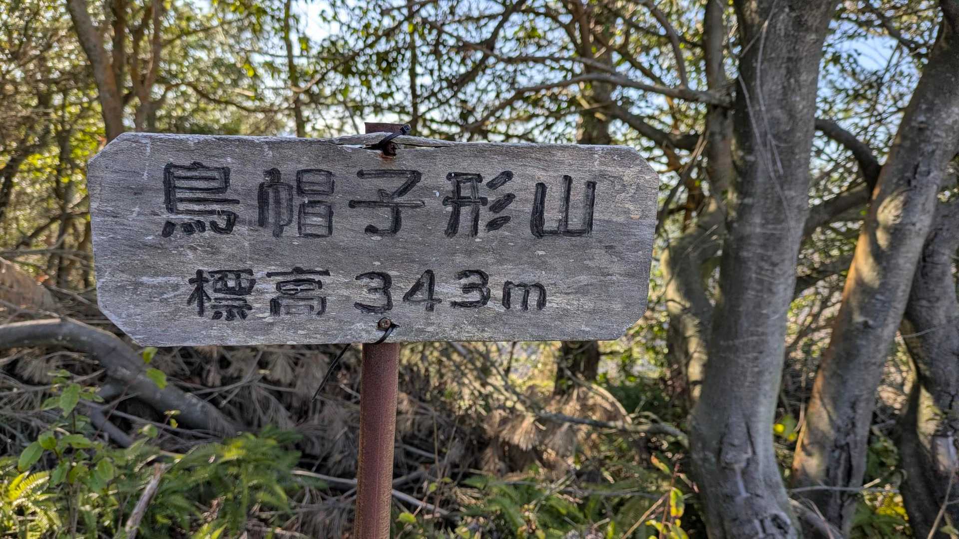 山頂⛰️