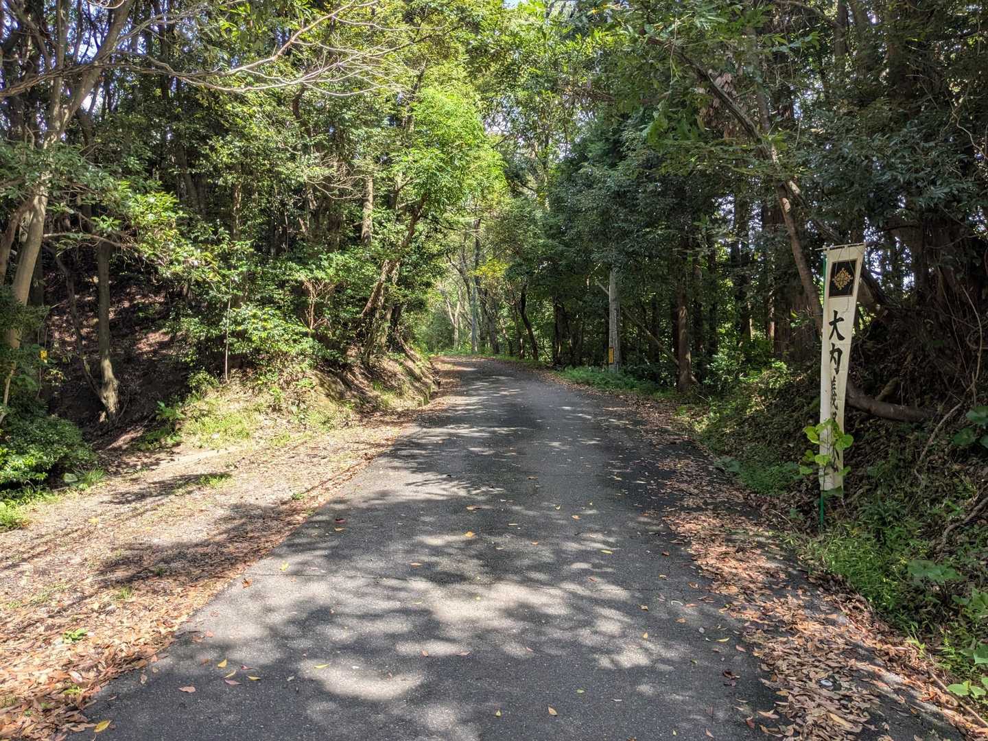 心癒される山道か続く。いたって緩やか