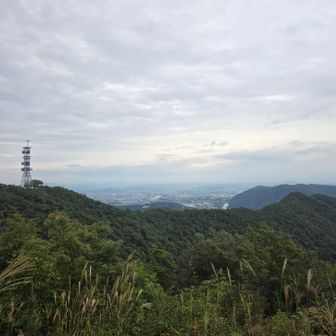 金毘羅山到着⛰️
雨は大丈夫そう☁️