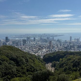 市章山山頂
神戸の中心部が一望
三宮、ポートアイランド、神戸空港…