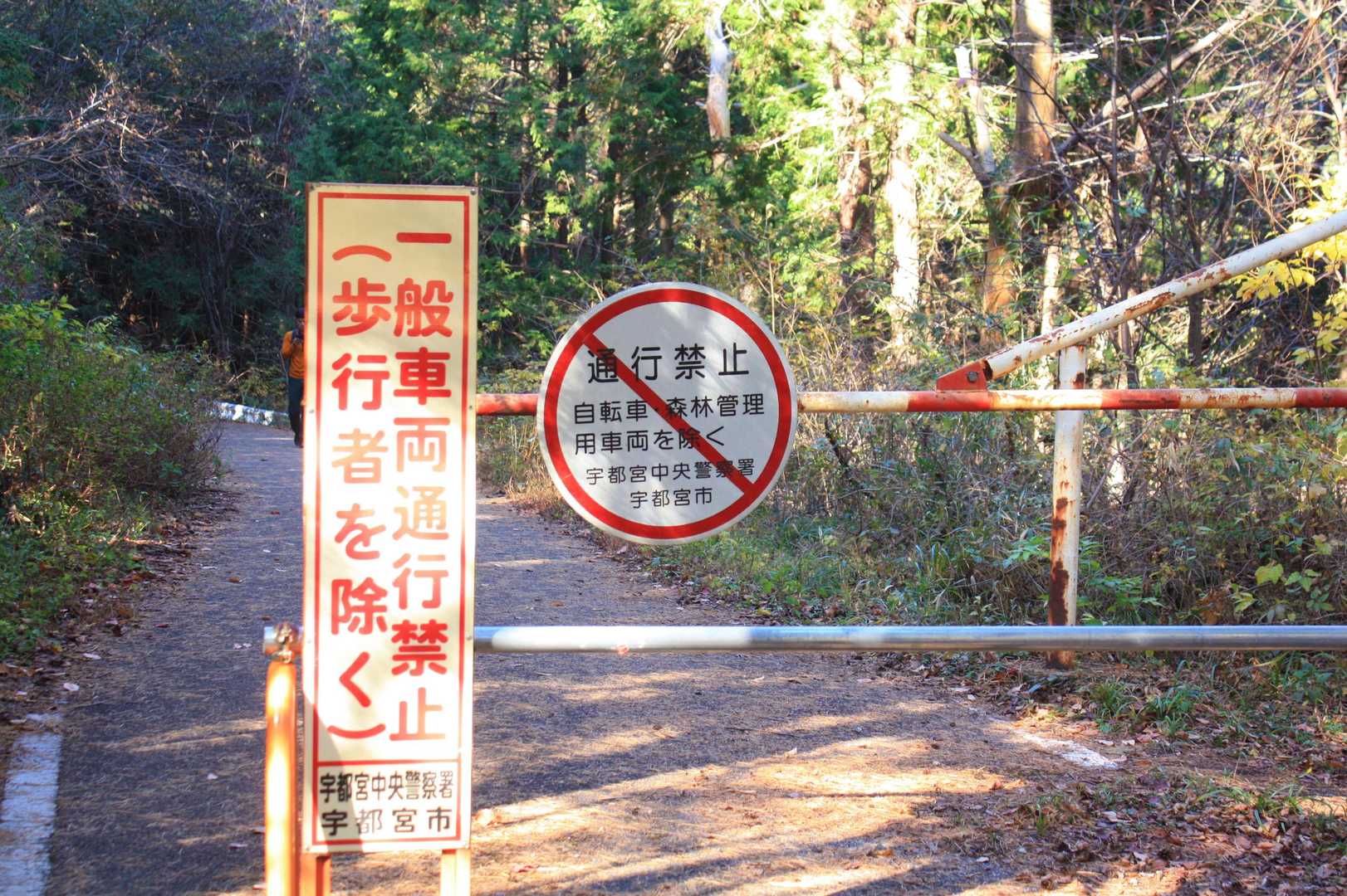 林道に戻って。
ここからダム方向に。