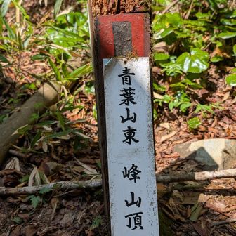 東峰到着。ここからアドベンチャー