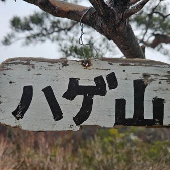 愚痴は続きます。
あっという間にハゲ山