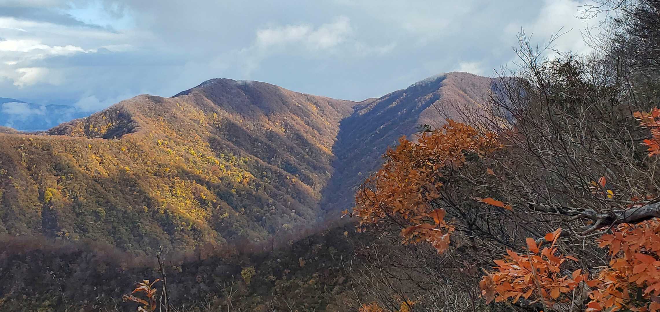 晩秋の紅葉の斜面