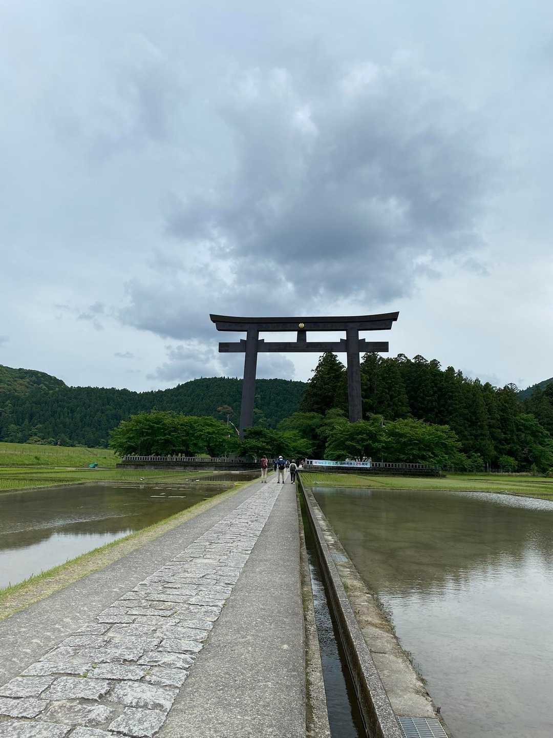 大鳥居と田植え前の水田