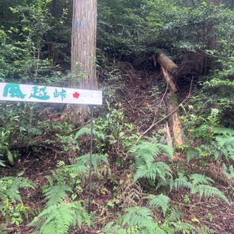 ここは道が狭いし、滑りそう（特に下りは注意⚠️しました）