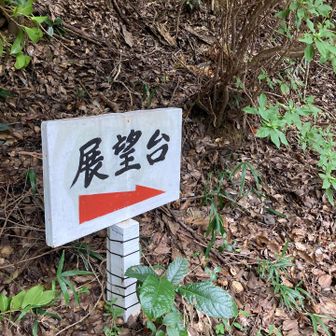 展望台寄ってみる。南蛮キセルはいつ咲くんかな？