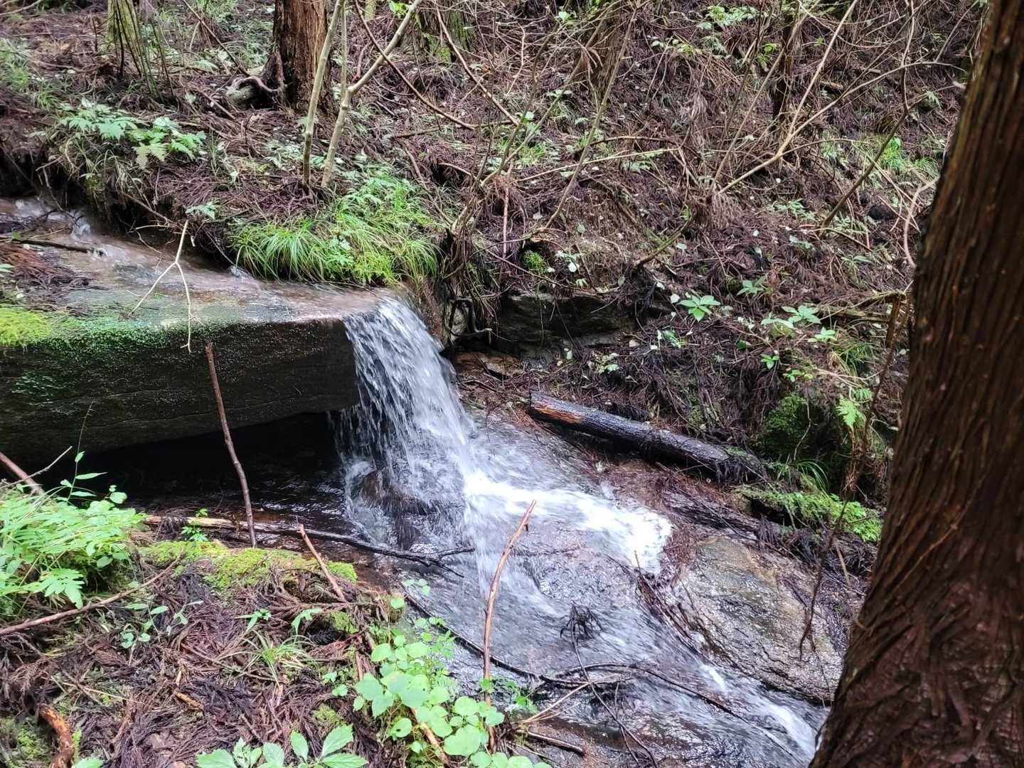 糠塚登山口-蓬田岳 往復コースの写真