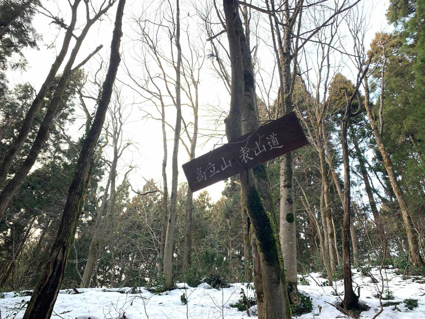 林道は時間半分短縮出来た!