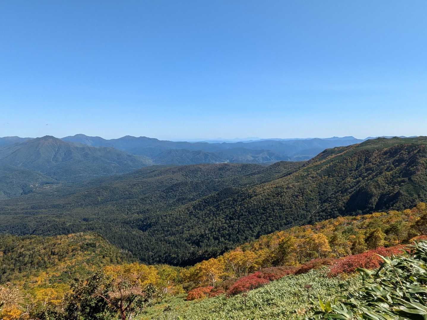 いいね〜🍁✨