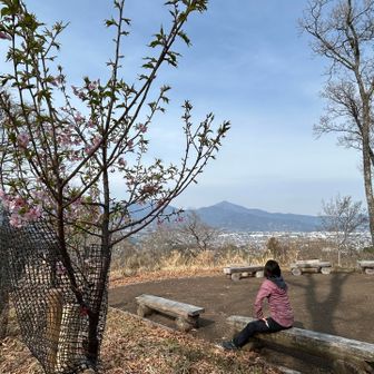 丹沢の山々に見惚れる好山病のWIFE