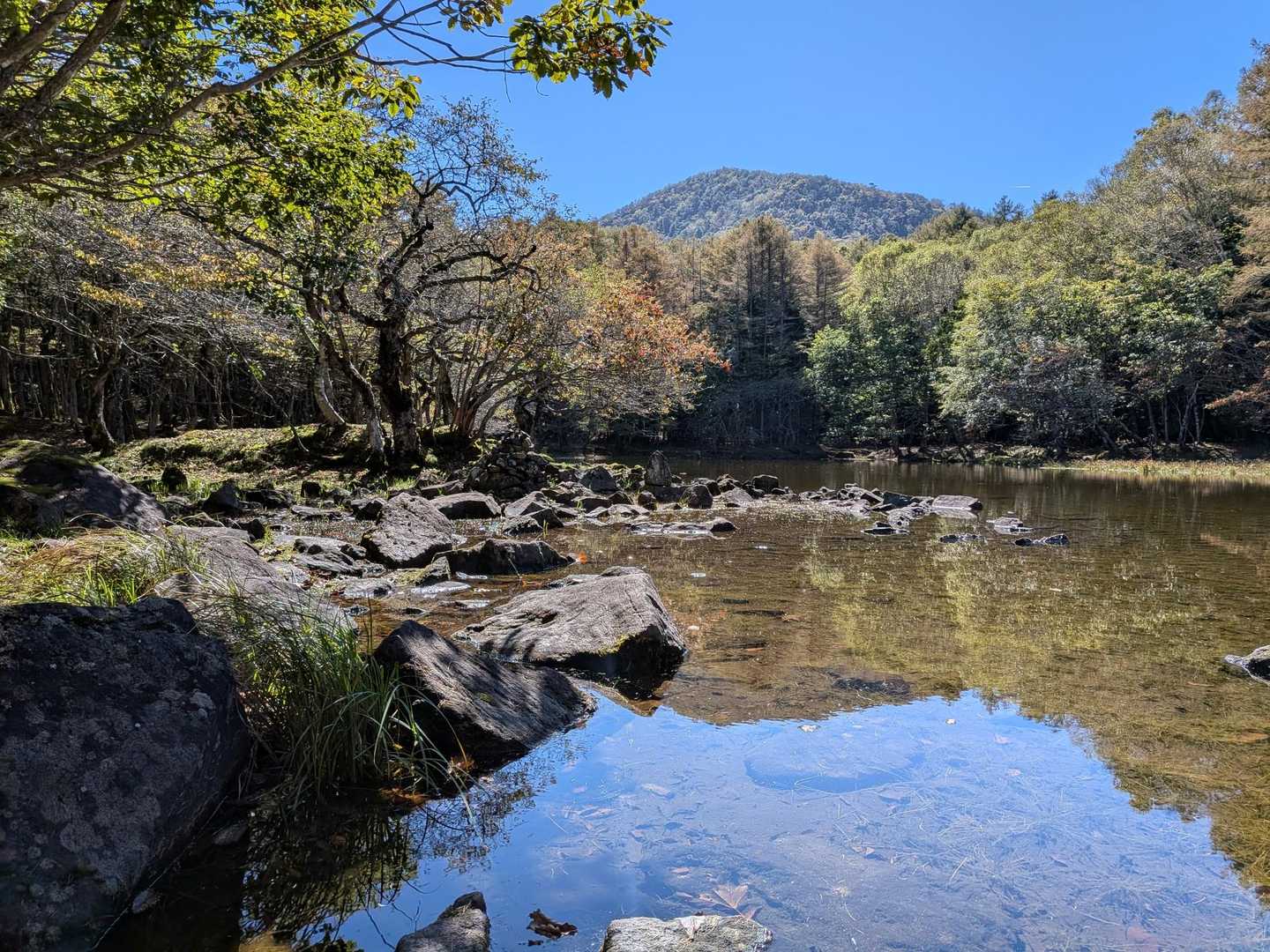 ひっそりと佇む大沼。沼越しに鶏頂山が望めます。静かな湖面には逆さ鶏頂山。