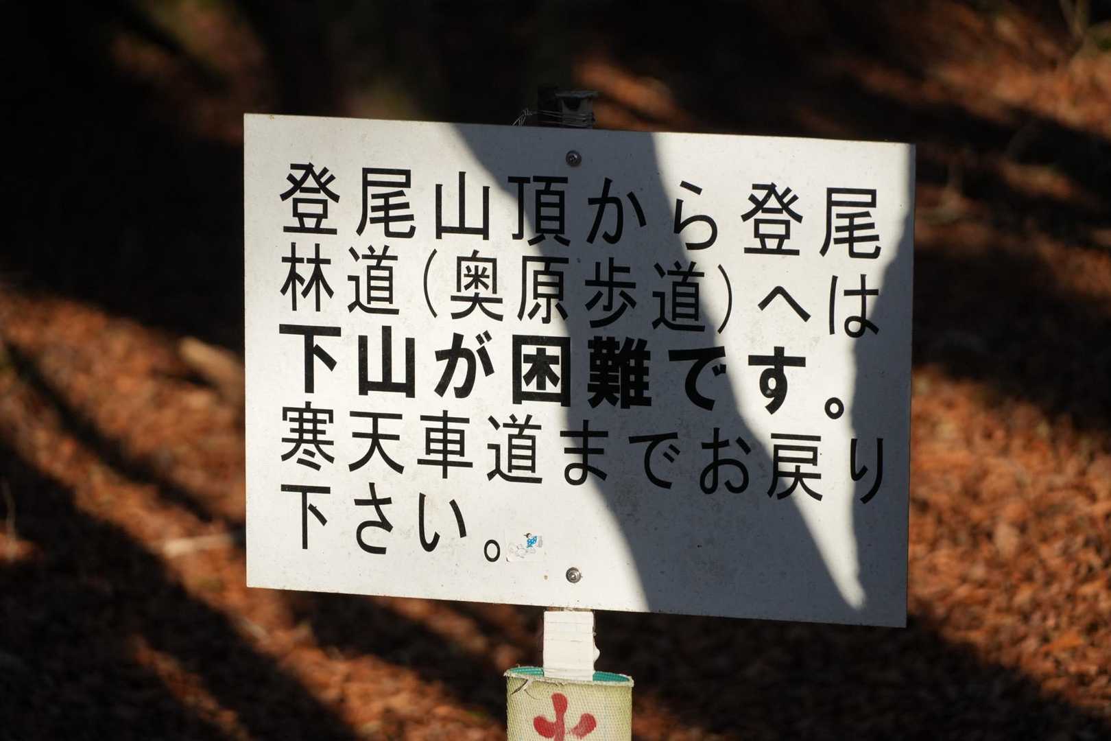 登リ尾 往復コースの写真