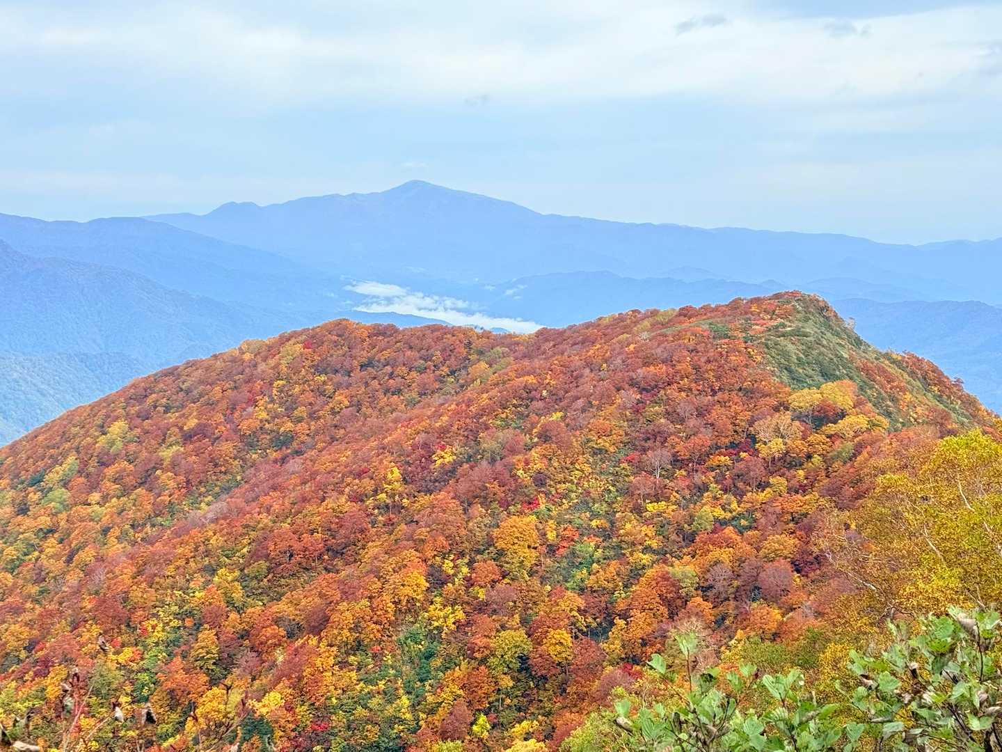 古寺の南斜面も綺麗よぉー！