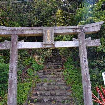 行ってきます