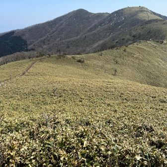 東屋まで戻って来ました、やっぱりここの稜線が一番かな