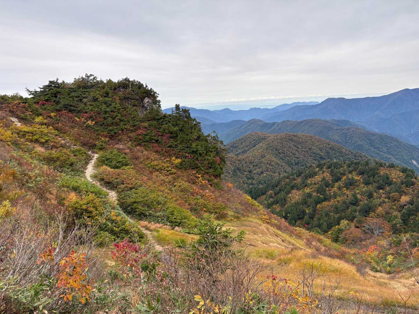 山頂に向かいます