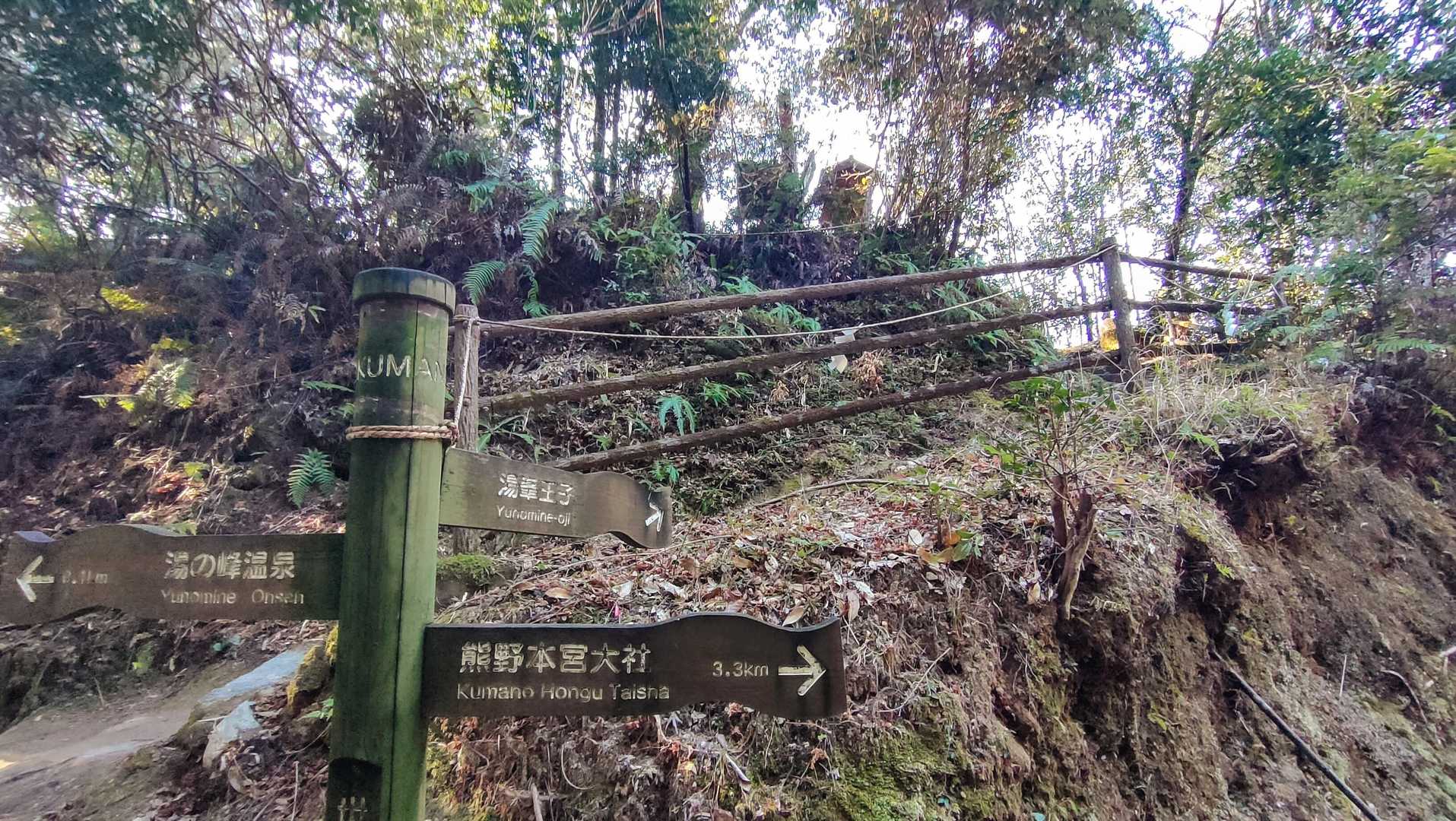ここまで下りたら、一旦ちょっとここを上がった先に